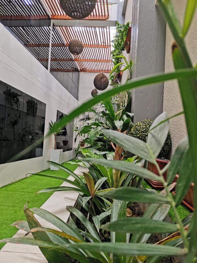 Murano Hotel Moyobamba Zewnętrze zdjęcie